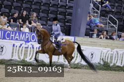 25R13_09163 thumbnail