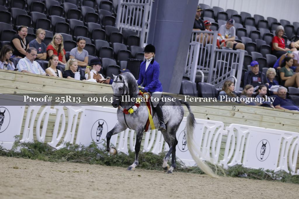 Proof Number 25R13_09164