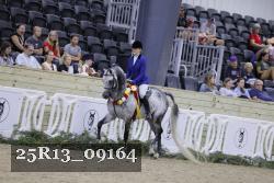 25R13_09164 thumbnail