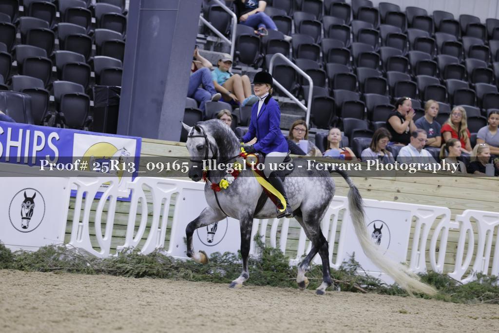 Proof Number 25R13_09165