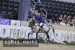 25R13_09165 thumbnail