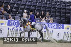 25R13_09166 thumbnail