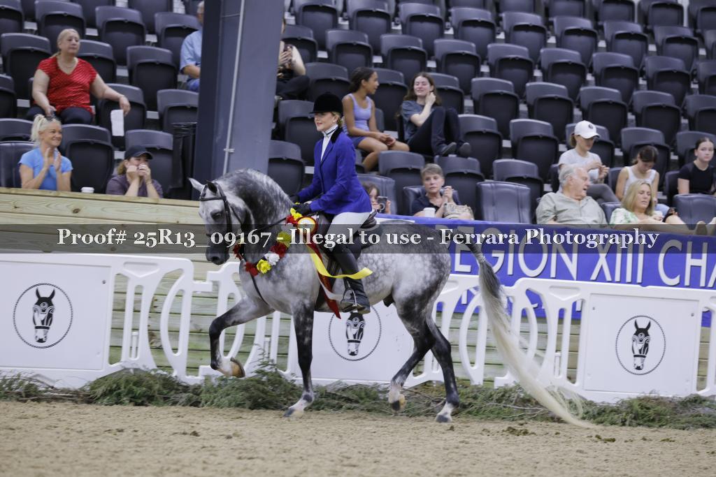 Proof Number 25R13_09167
