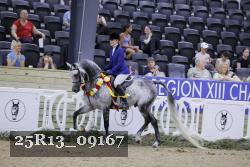 25R13_09167 thumbnail