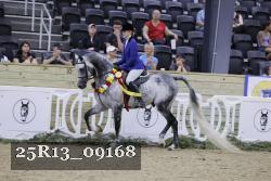25R13_09168 thumbnail