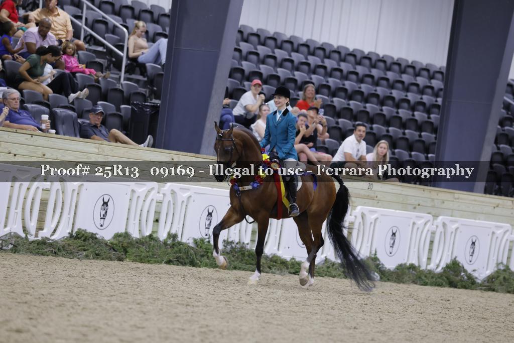 Proof Number 25R13_09169