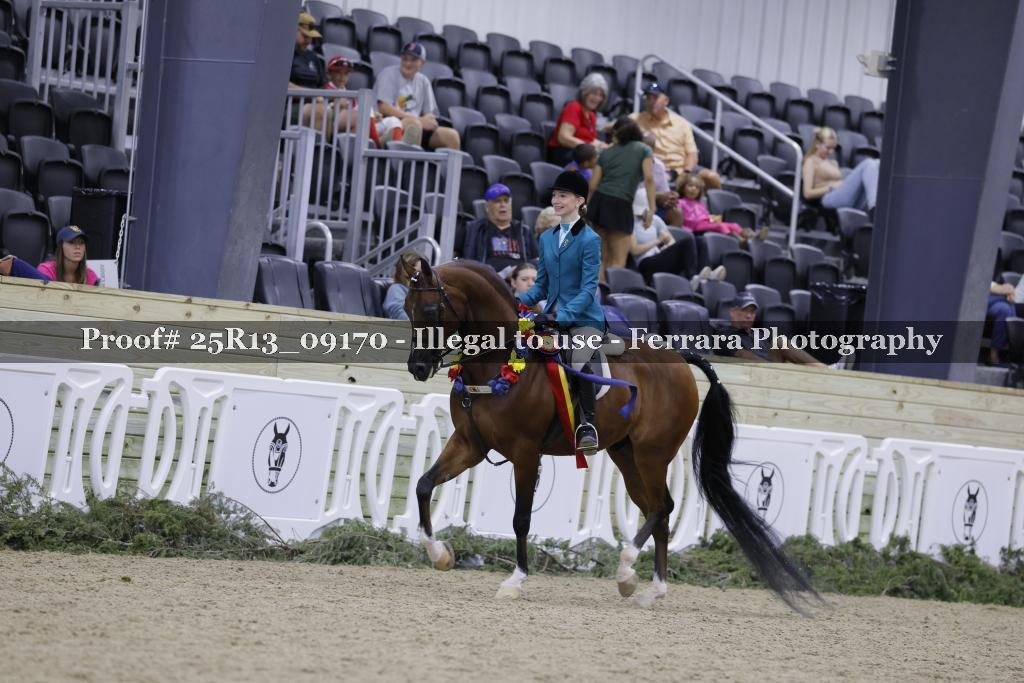 Proof Number 25R13_09170