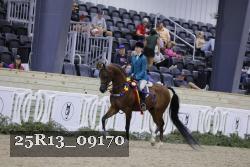25R13_09170 thumbnail