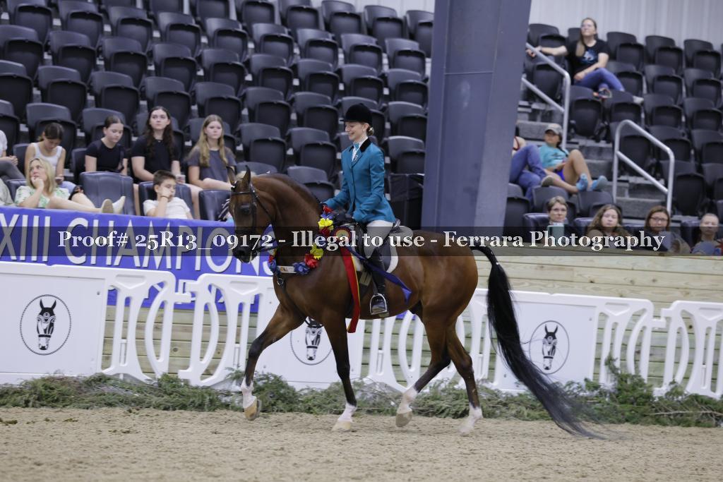 Proof Number 25R13_09172