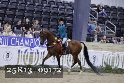 25R13_09172 thumbnail