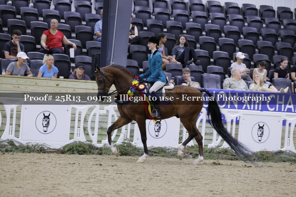 Proof Number 25R13_09173