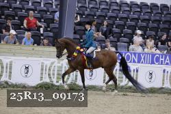 25R13_09173 thumbnail