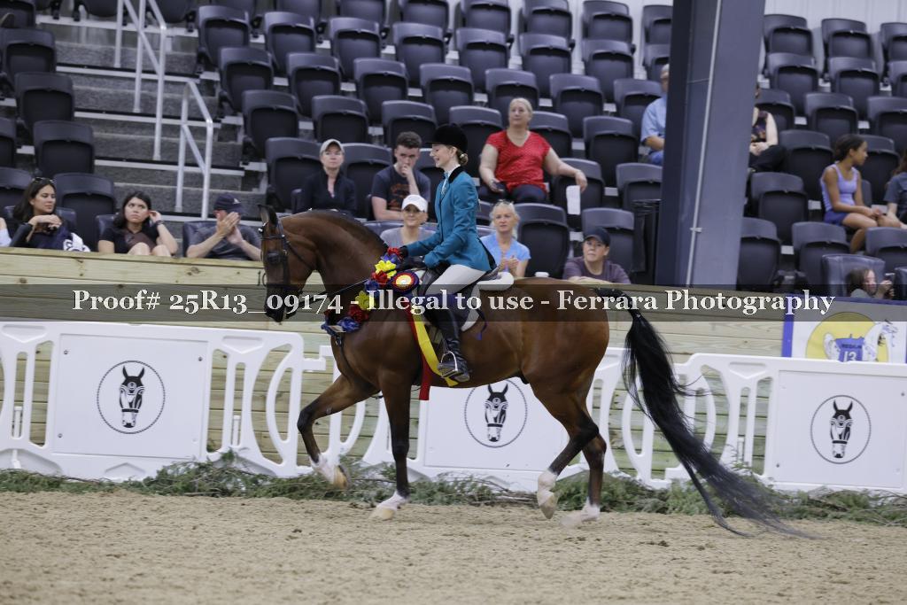Proof Number 25R13_09174
