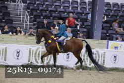 25R13_09174 thumbnail