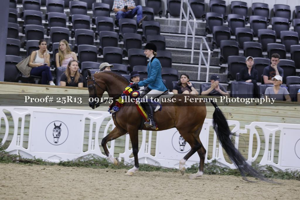 Proof Number 25R13_09175
