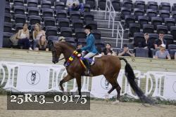 25R13_09175 thumbnail