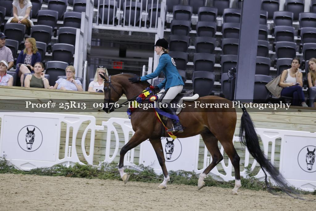Proof Number 25R13_09176