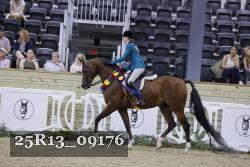 25R13_09176 thumbnail