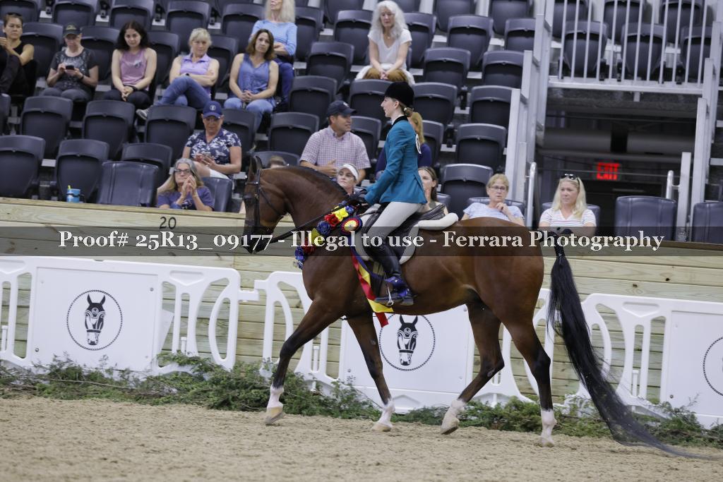 Proof Number 25R13_09177