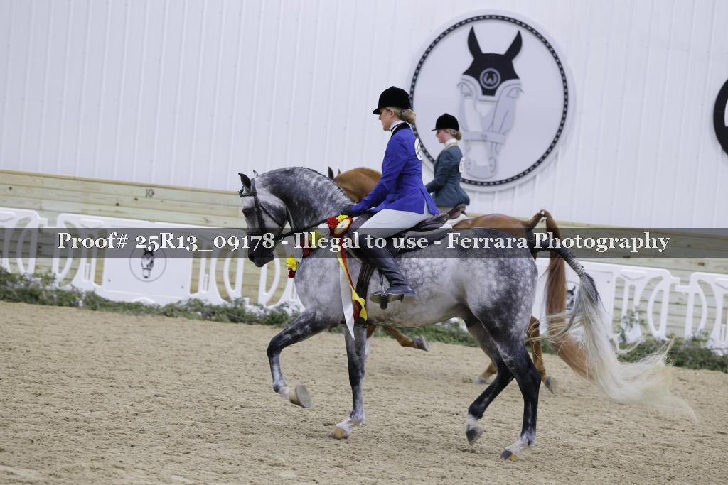 Proof Number 25R13_09178
