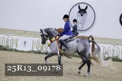 25R13_09178 thumbnail