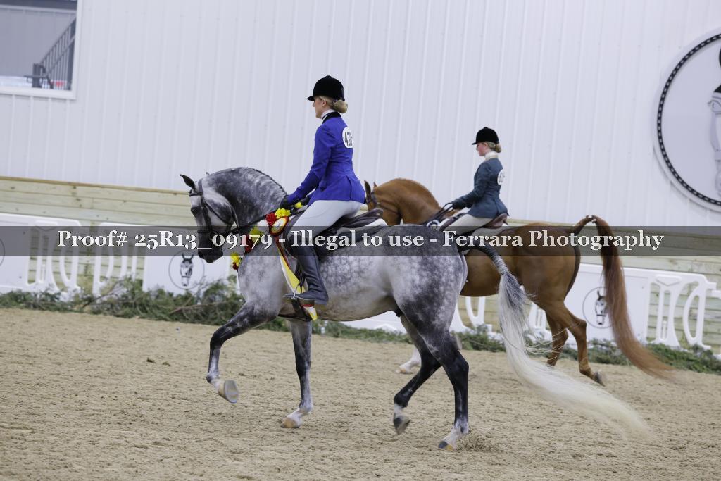 Proof Number 25R13_09179
