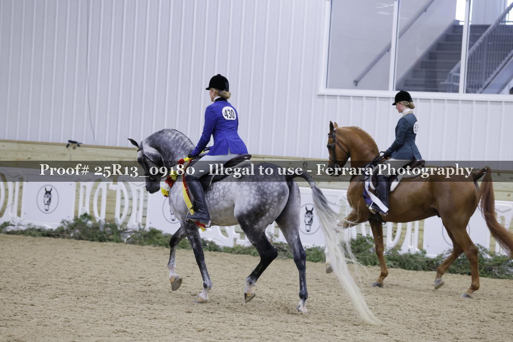 Proof Number 25R13_09180