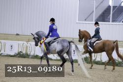 25R13_09180 thumbnail