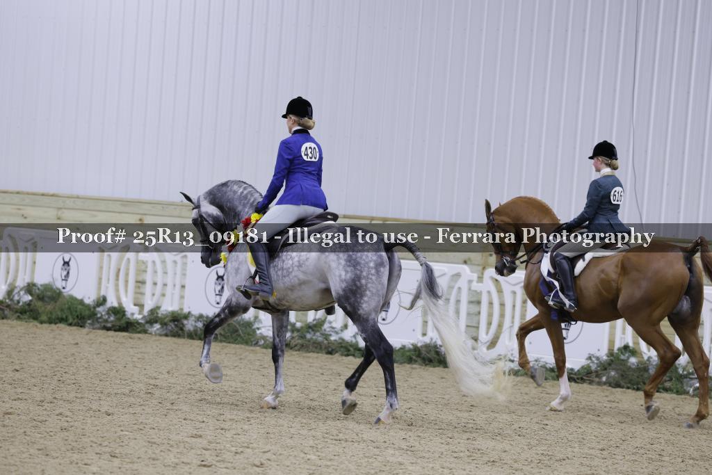 Proof Number 25R13_09181