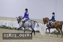 25R13_09181 thumbnail