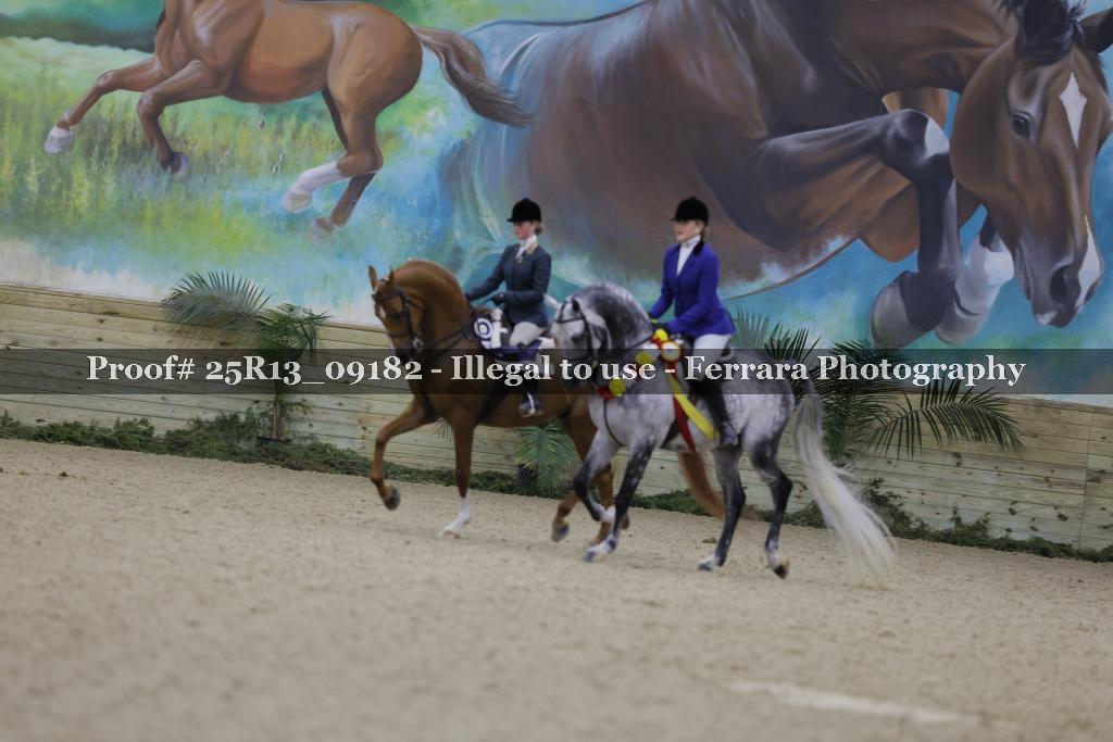 Proof Number 25R13_09182