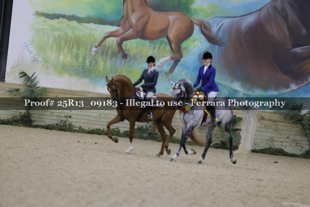 Proof Number 25R13_09183