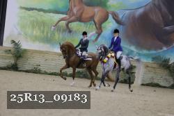 25R13_09183 thumbnail