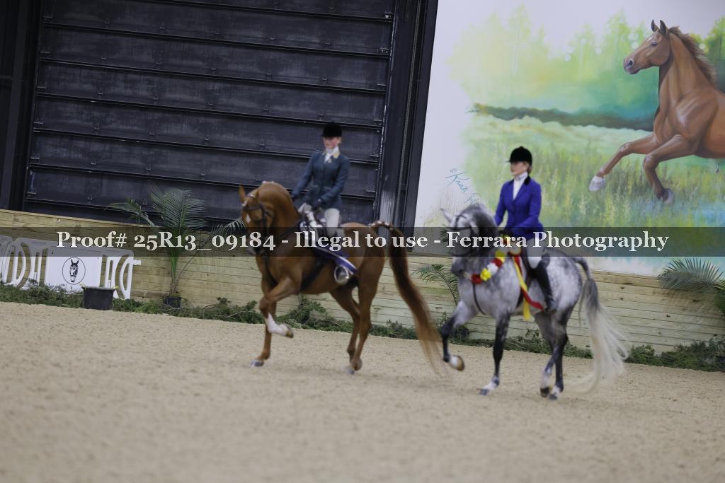 Proof Number 25R13_09184