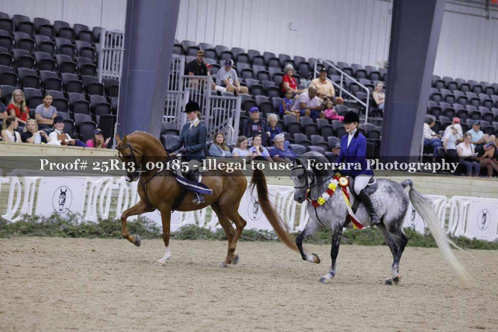 Proof Number 25R13_09185