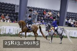 25R13_09185 thumbnail