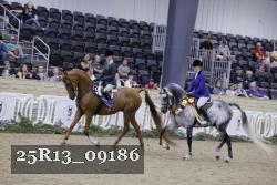 25R13_09186 thumbnail
