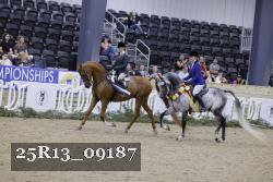 25R13_09187 thumbnail