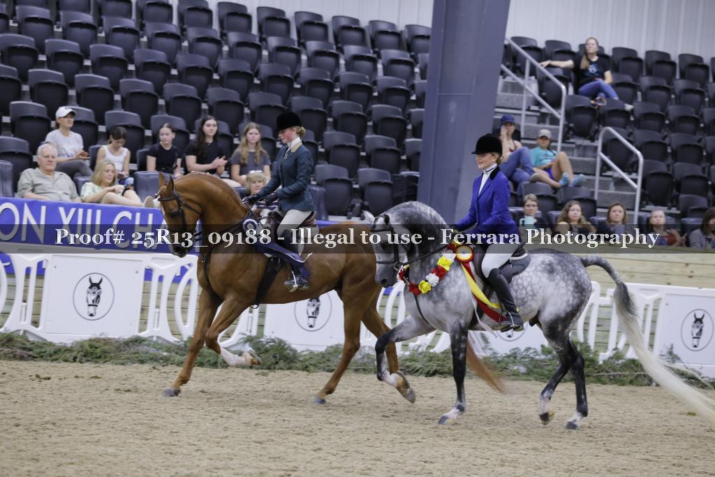 Proof Number 25R13_09188