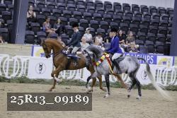 25R13_09189 thumbnail