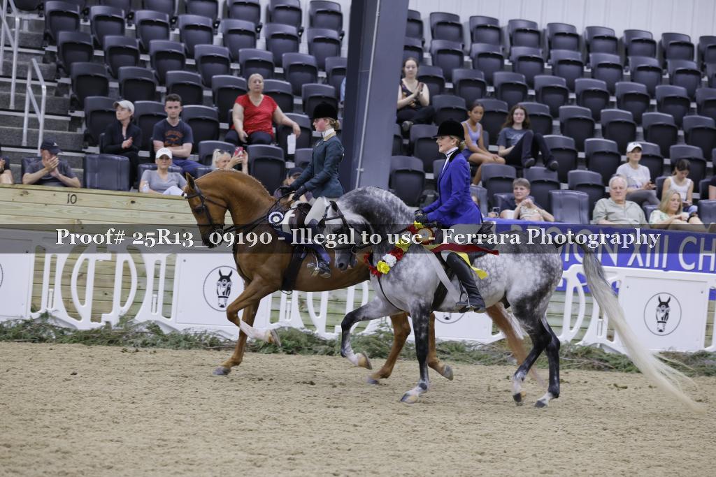 Proof Number 25R13_09190