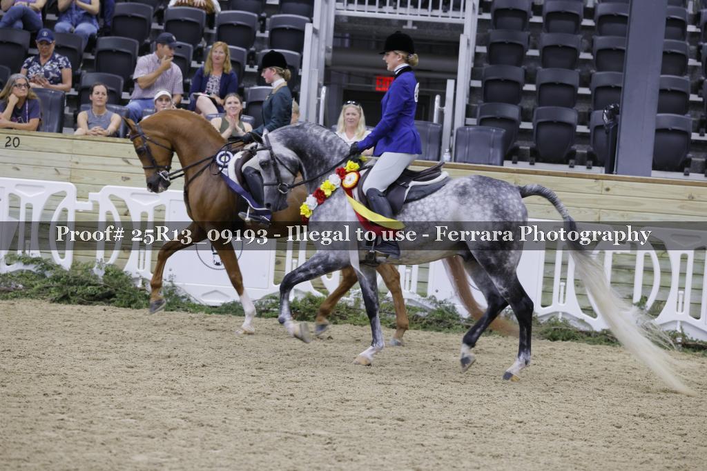 Proof Number 25R13_09193