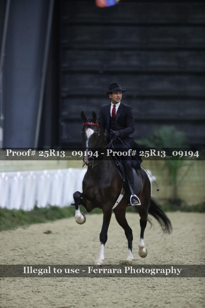 Proof Number 25R13_09194
