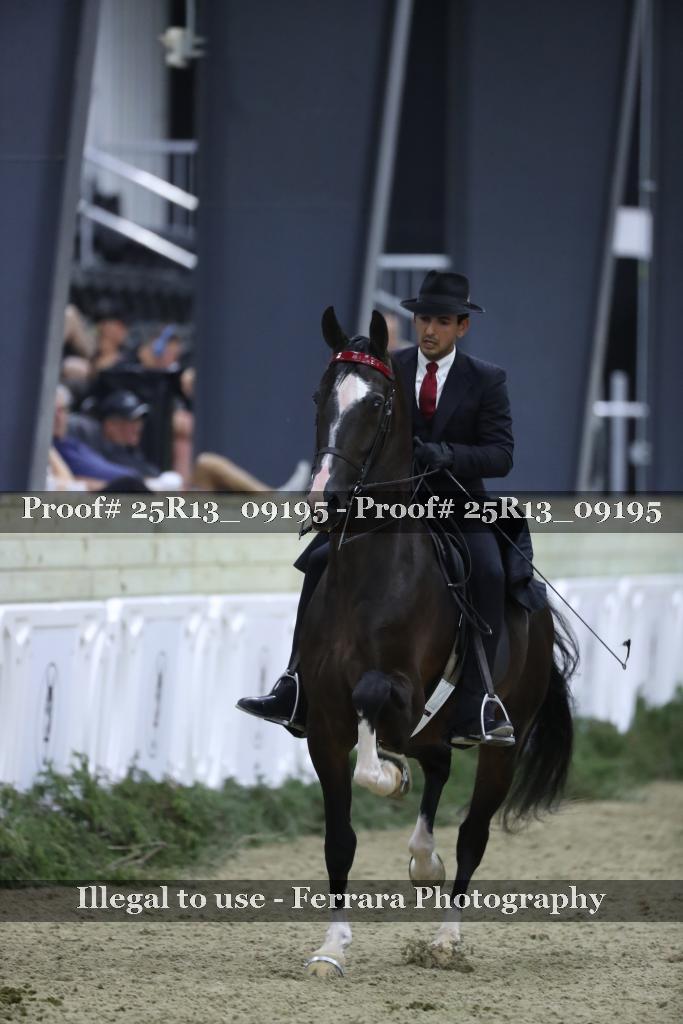 Proof Number 25R13_09195