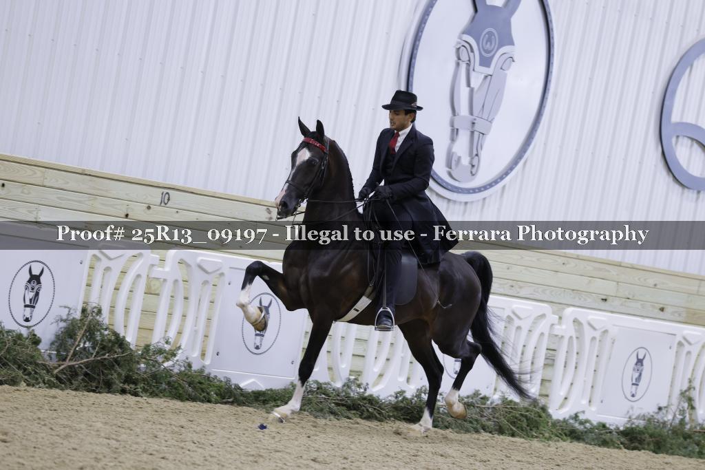 Proof Number 25R13_09197