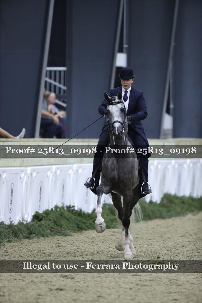 Proof Number 25R13_09198