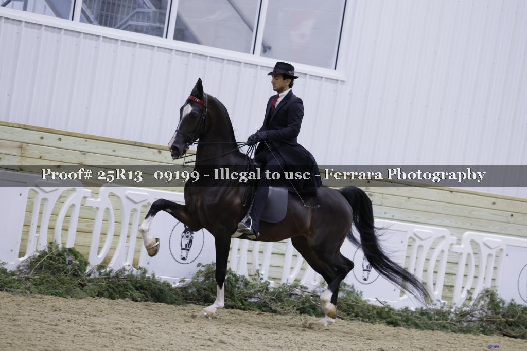 Proof Number 25R13_09199
