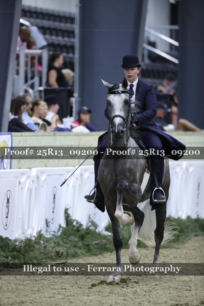 Proof Number 25R13_09200