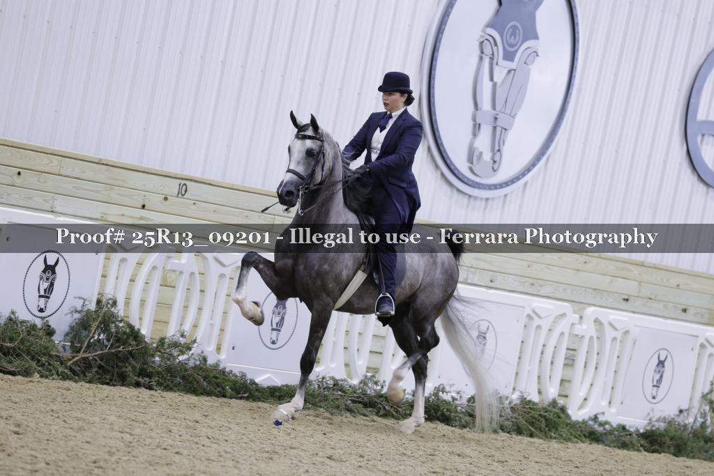Proof Number 25R13_09201