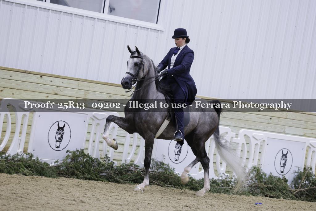 Proof Number 25R13_09202